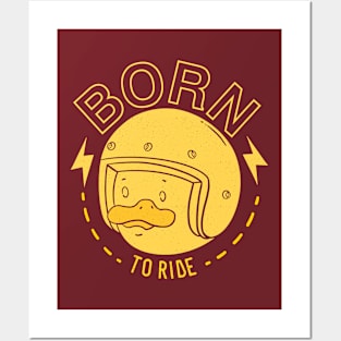 Born To Ride Posters and Art